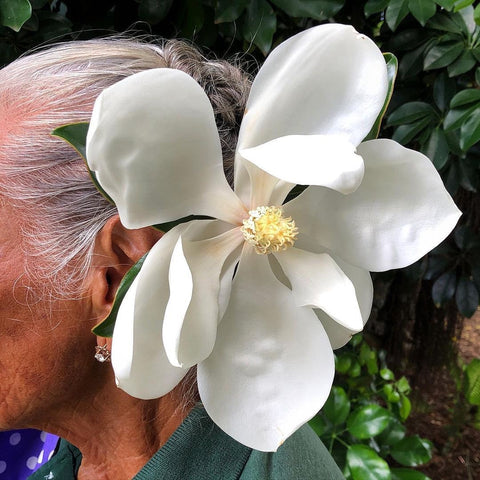 Magnolia Champaca